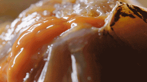 潮汕油炸美食_潮汕煎炸美食_潮汕特产油炸