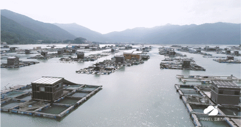 潮汕特产油炸_潮汕煎炸美食_潮汕油炸美食
